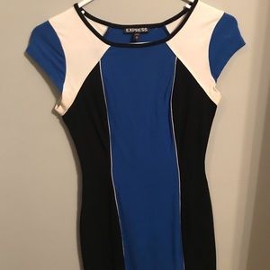 Bodycon Express Dress